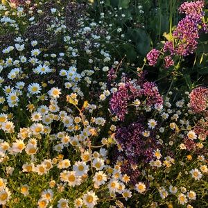 selling cute fashion to you 🌹 open 2 bids 🌹